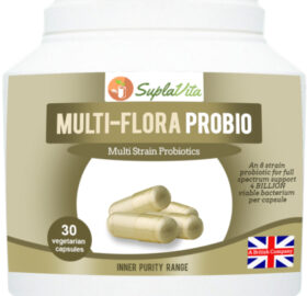 Multi-Flora ProBio – multi-strain probiotic