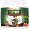 P-Cleanse – intestinal detox support